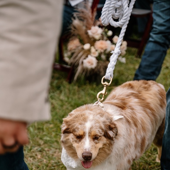 Three white dog leashes - Picture 4 of 4